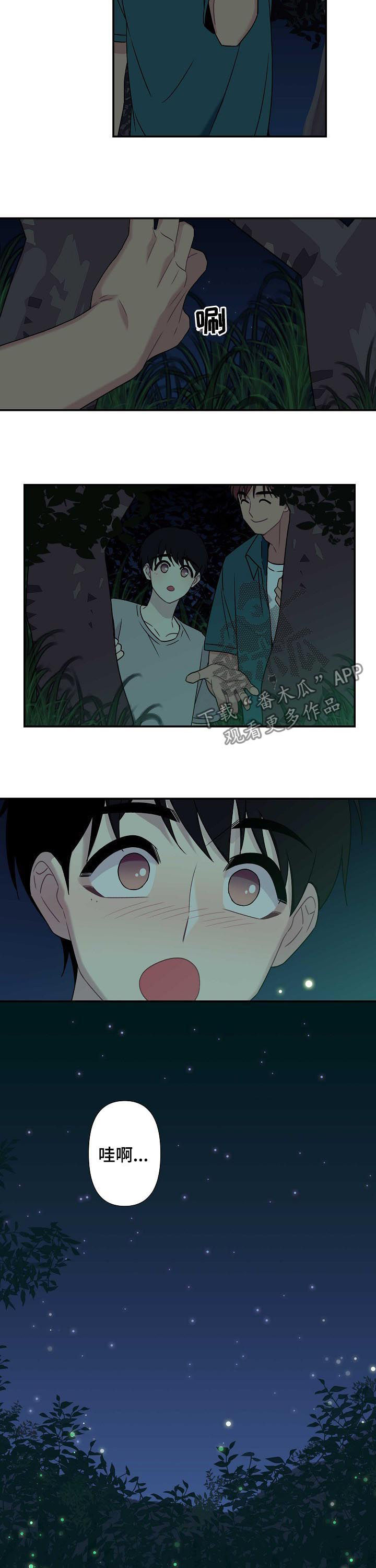 第61章：【番外】萤火虫9