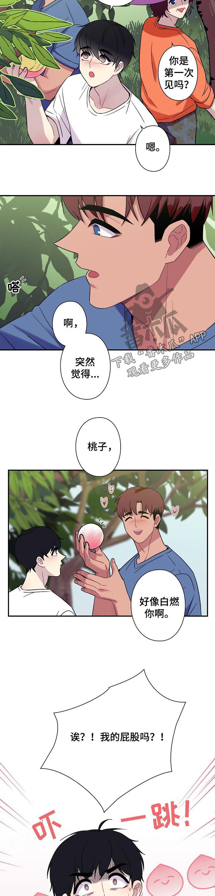 第59章：【番外】摘桃子5