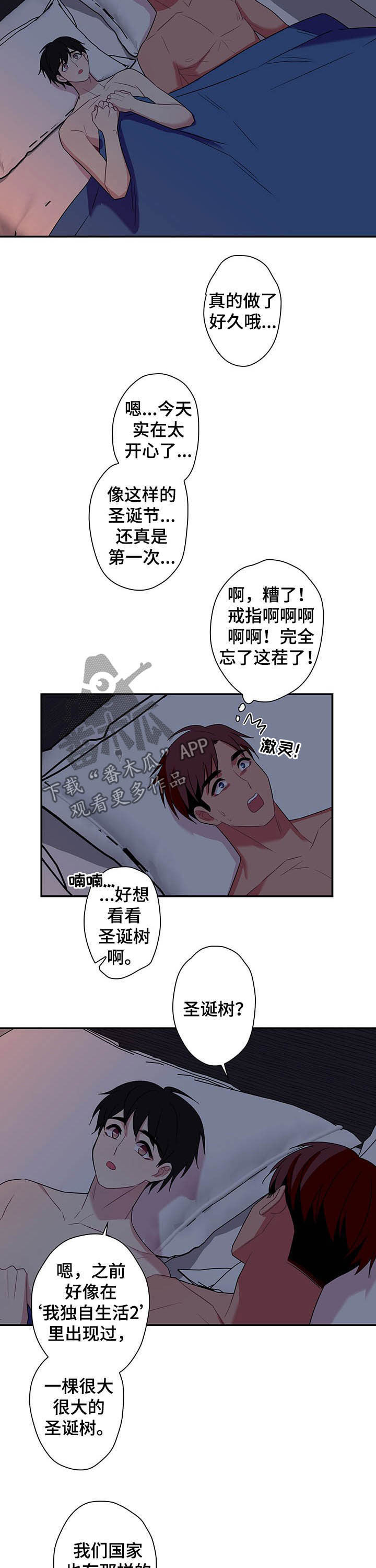 第75章：【番外】圣诞树5