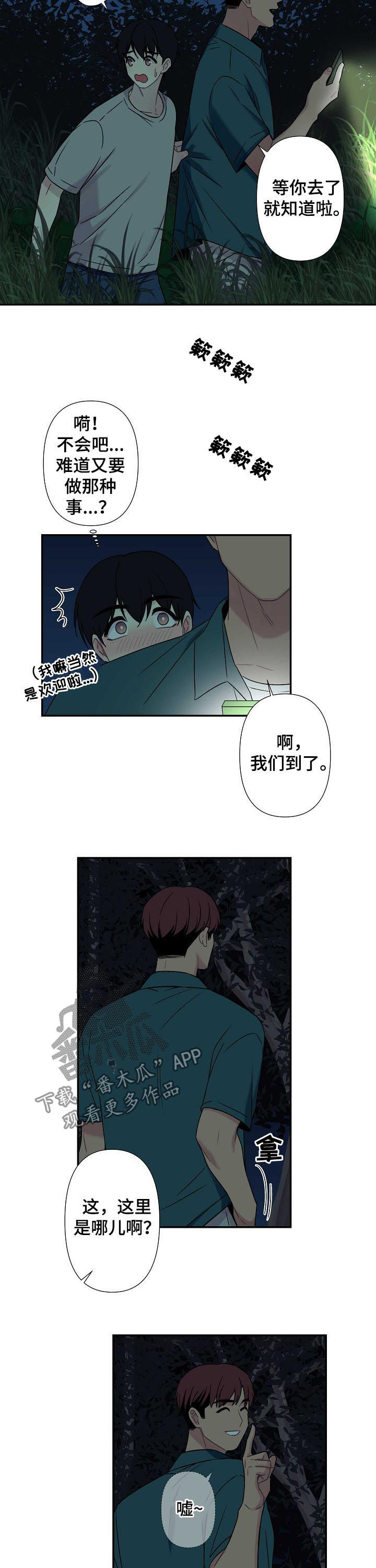 第61章：【番外】萤火虫8