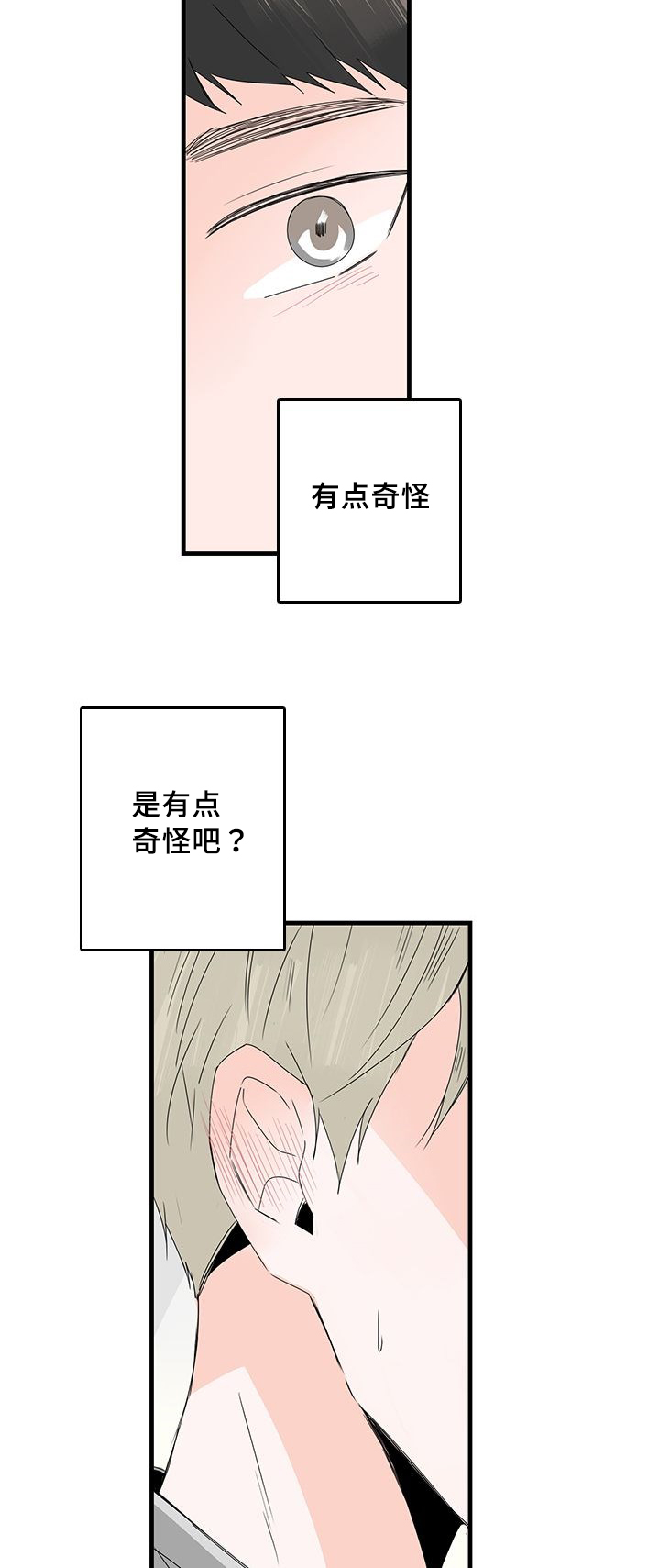 第25章：哥？9