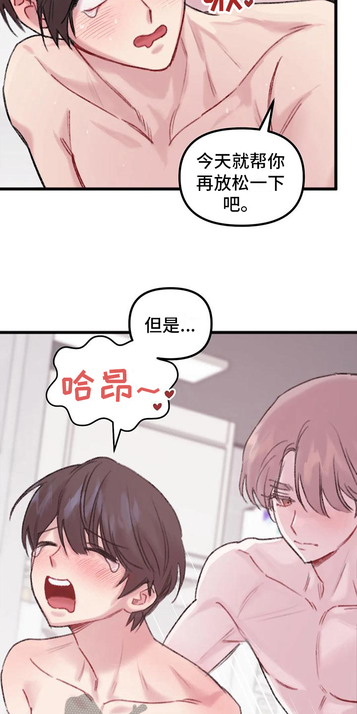 第15章：主导12