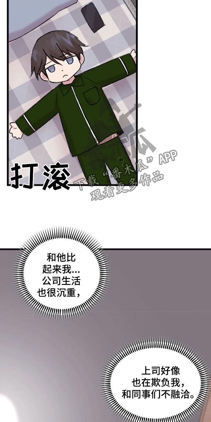 第25章：对比18