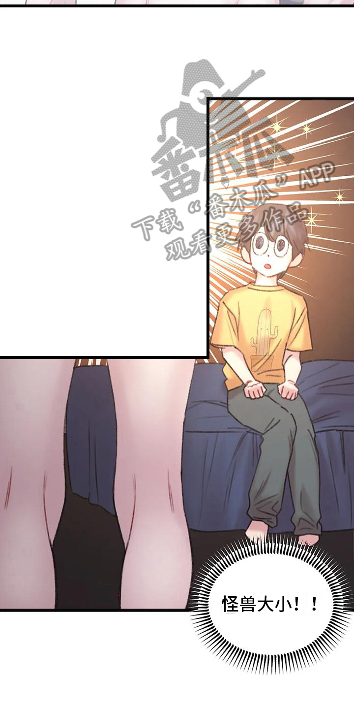 第15章：主导2