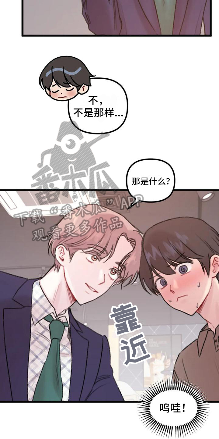 第13章：要求13