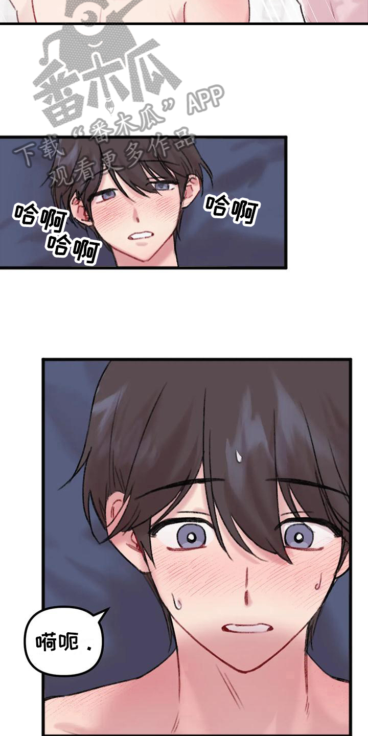 第15章：主导13