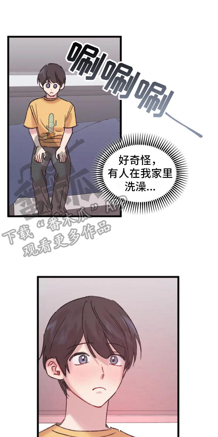 第15章：主导0