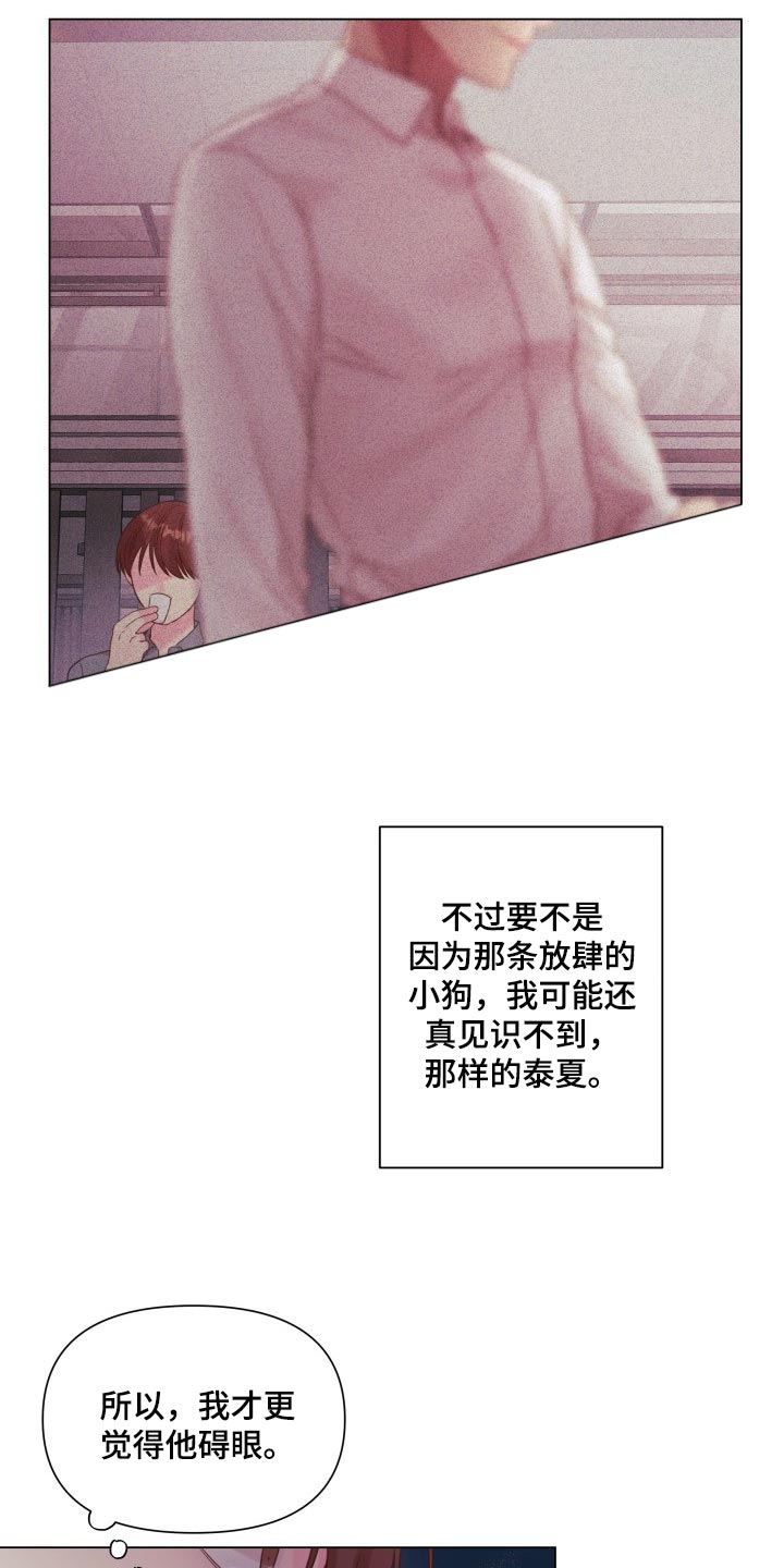 第20章：碍眼20