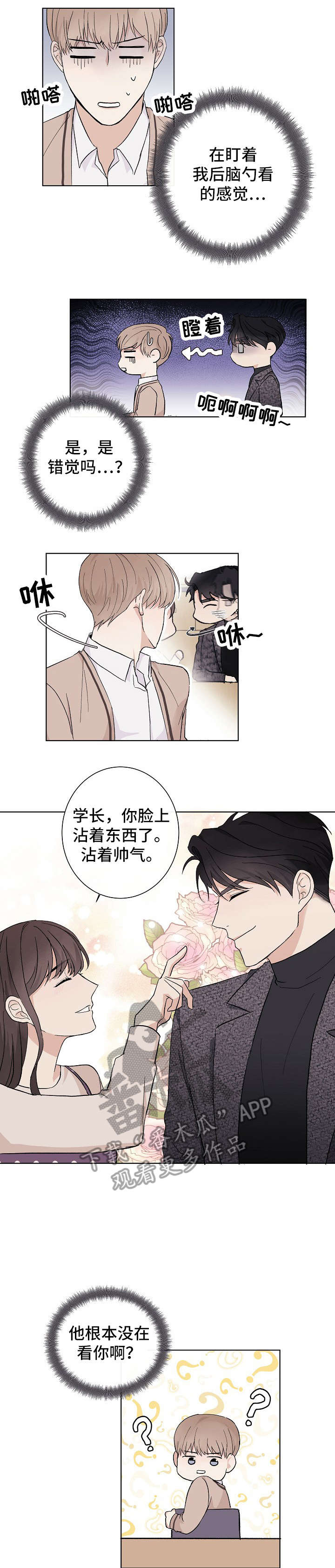 第2章：陪衬4