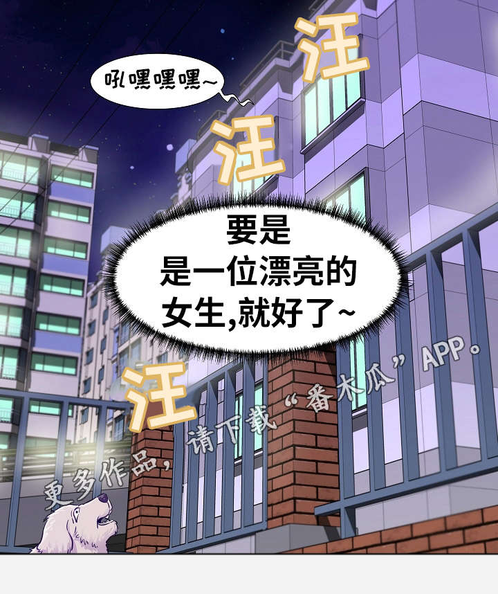 第20章：安排4