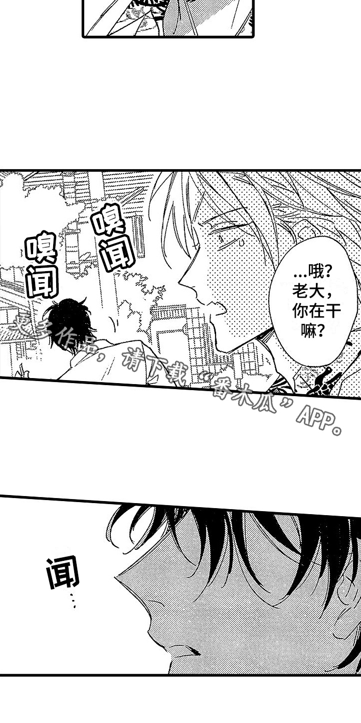第9章：作用15