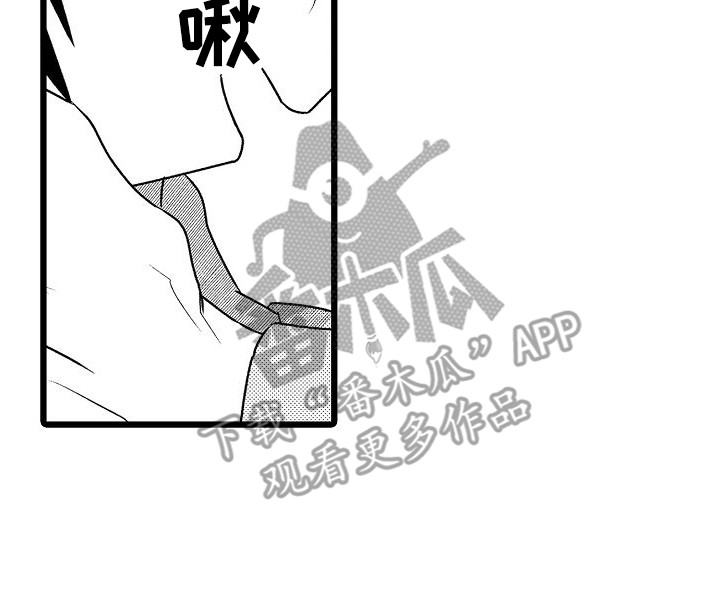 第17章：解释 19