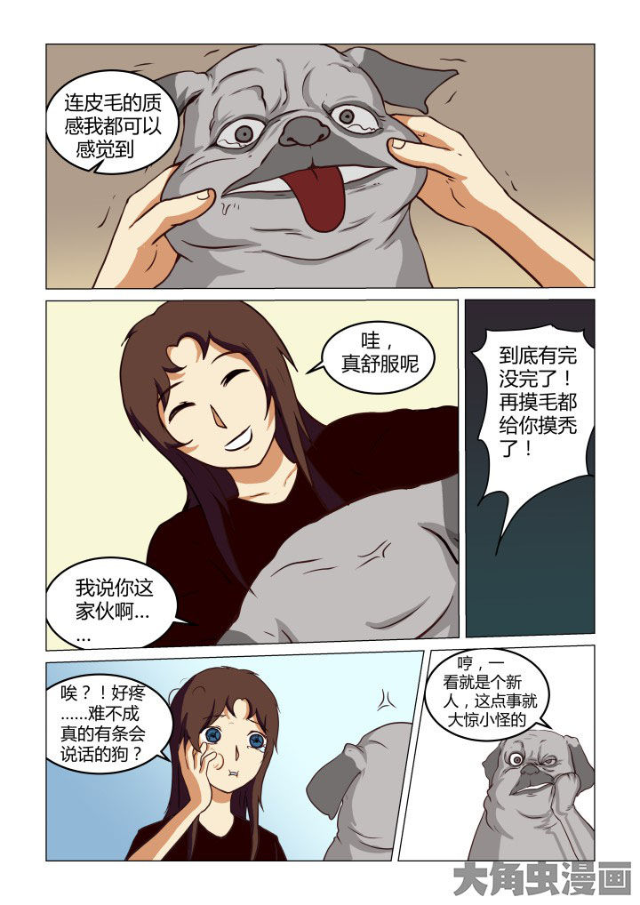 第65章：3