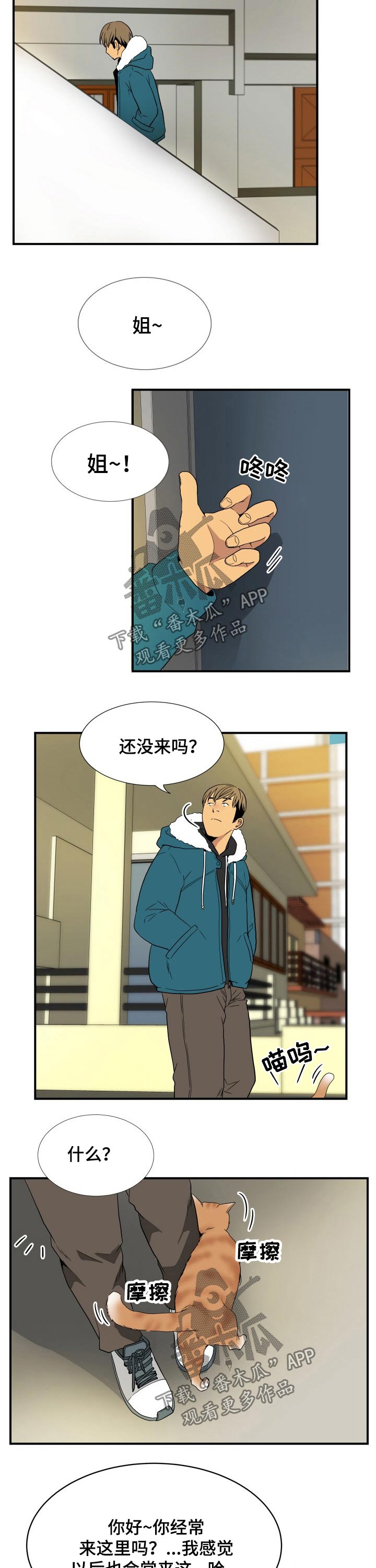 第26章：猫咪4