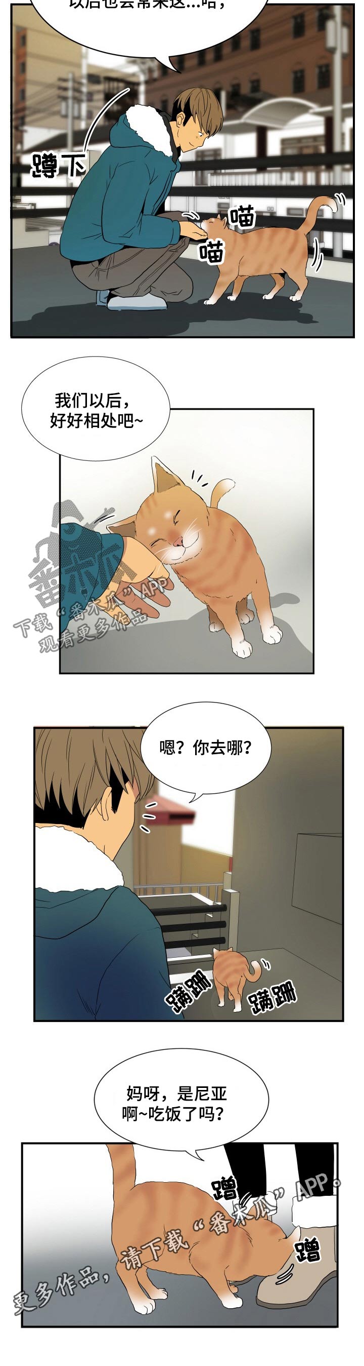 第26章：猫咪5