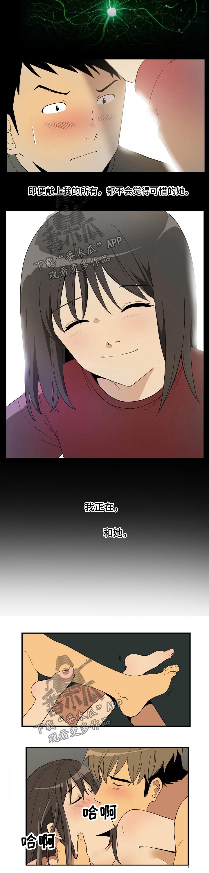 第26章：猫咪1