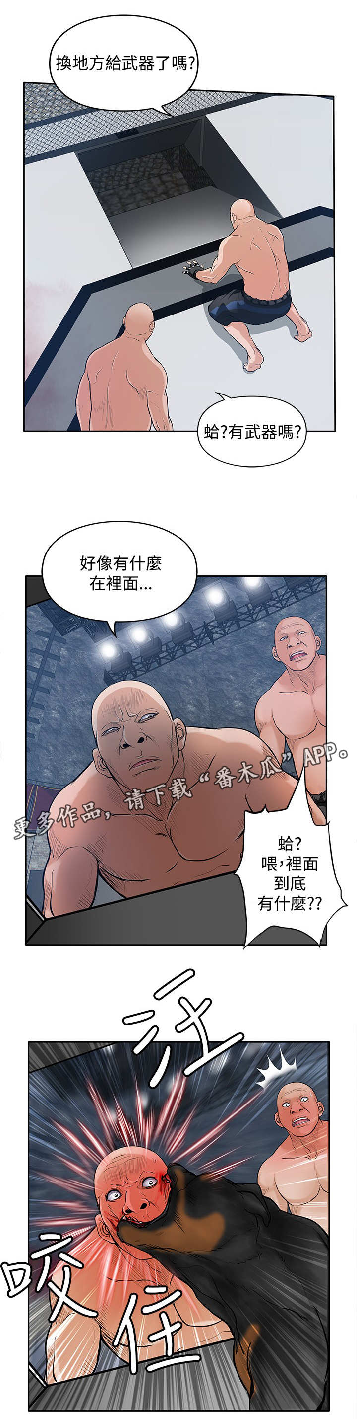 第41章：疯狗0