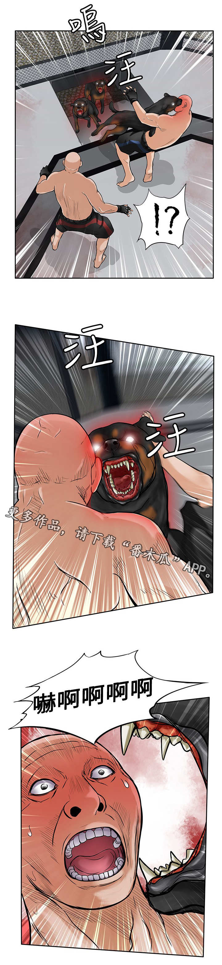 第41章：疯狗1