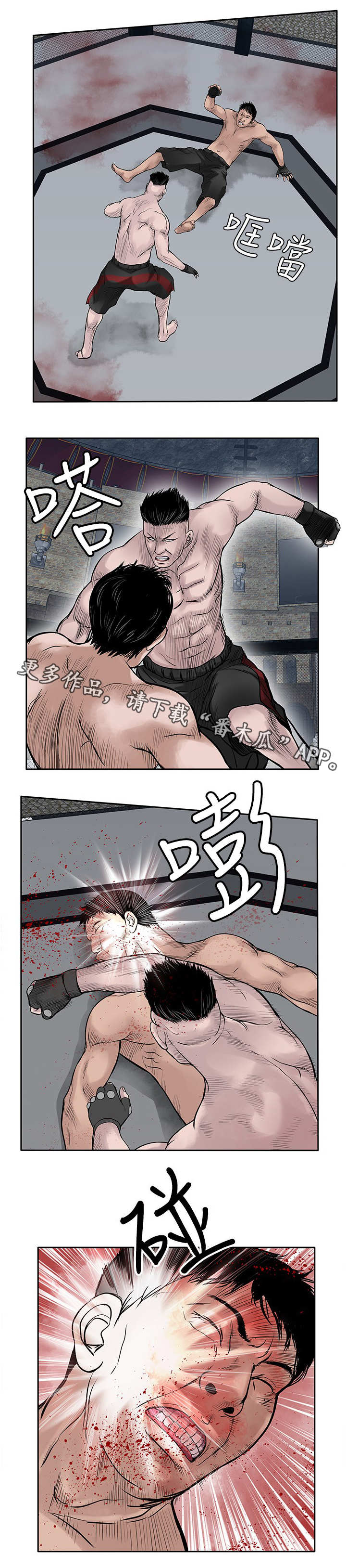 第38章：葬身之地6
