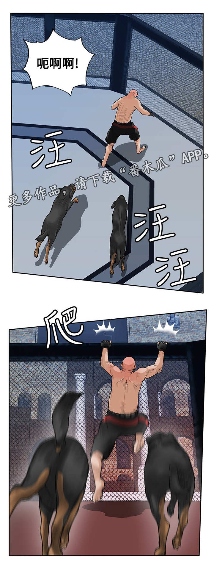 第41章：疯狗7