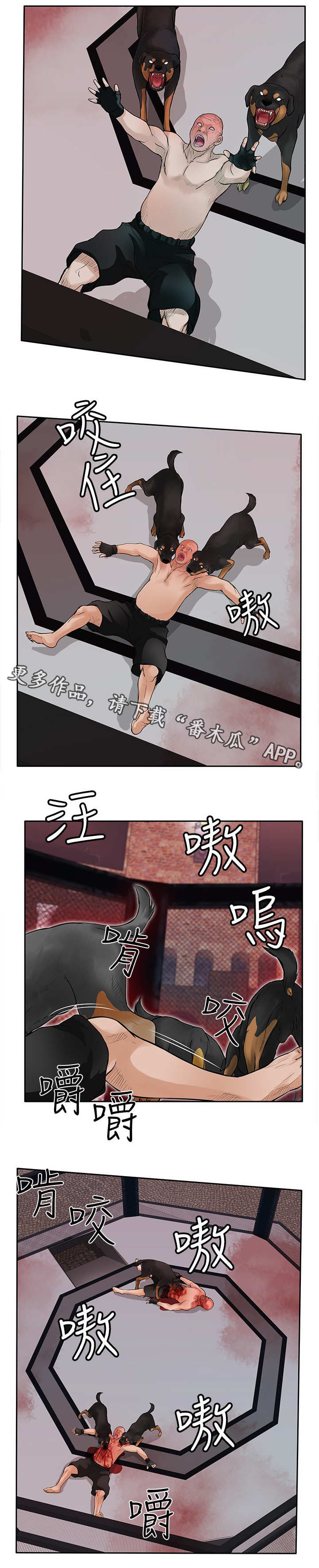 第41章：疯狗9