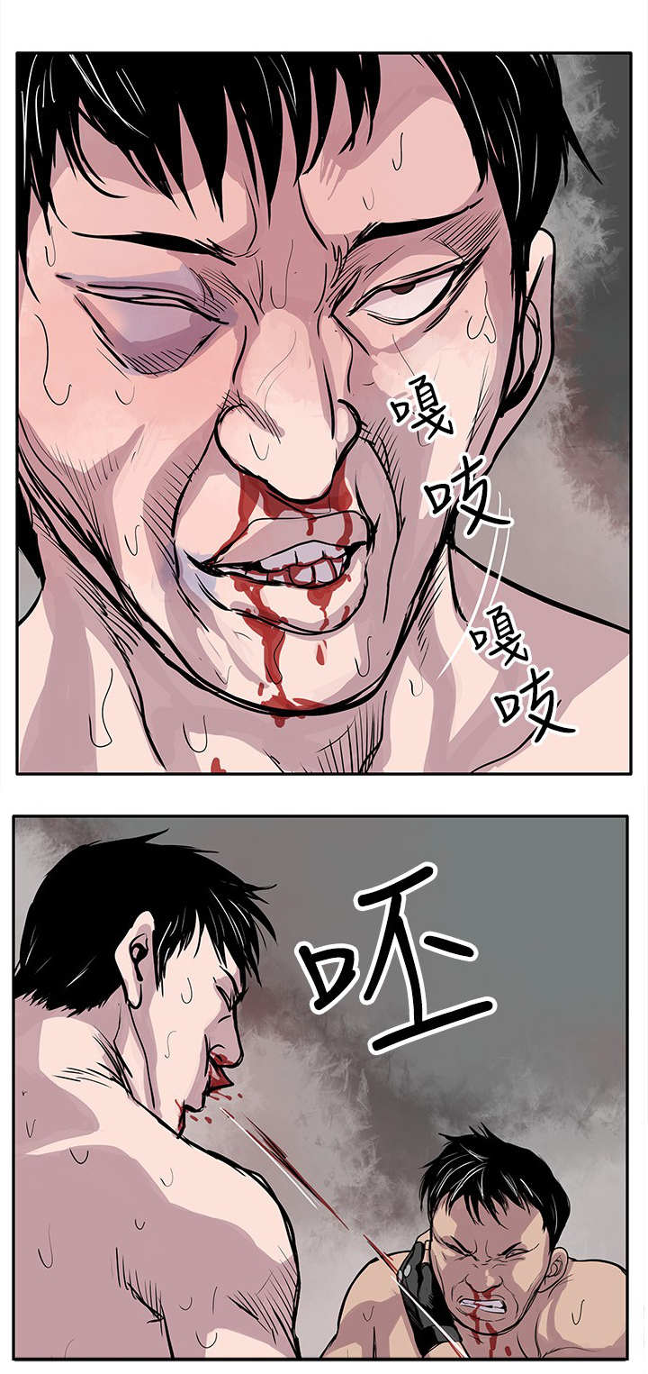 第2章：狗咬狗5