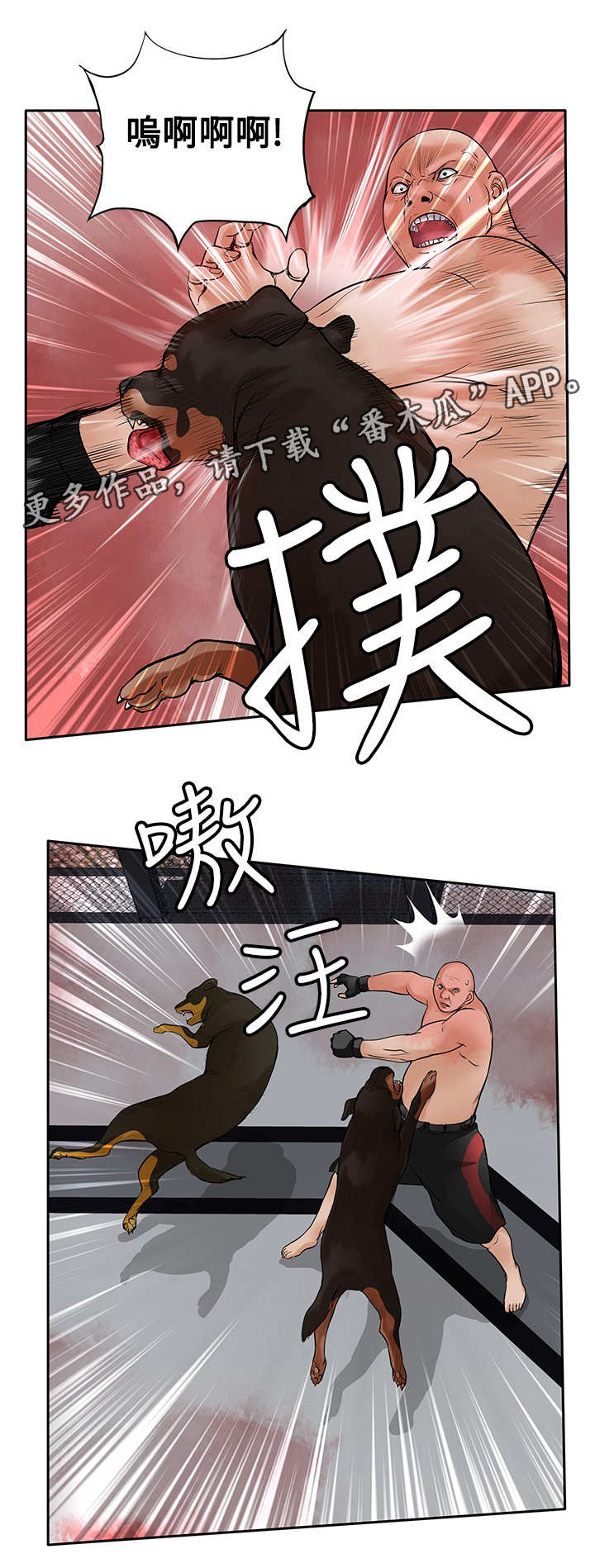 第41章：疯狗2