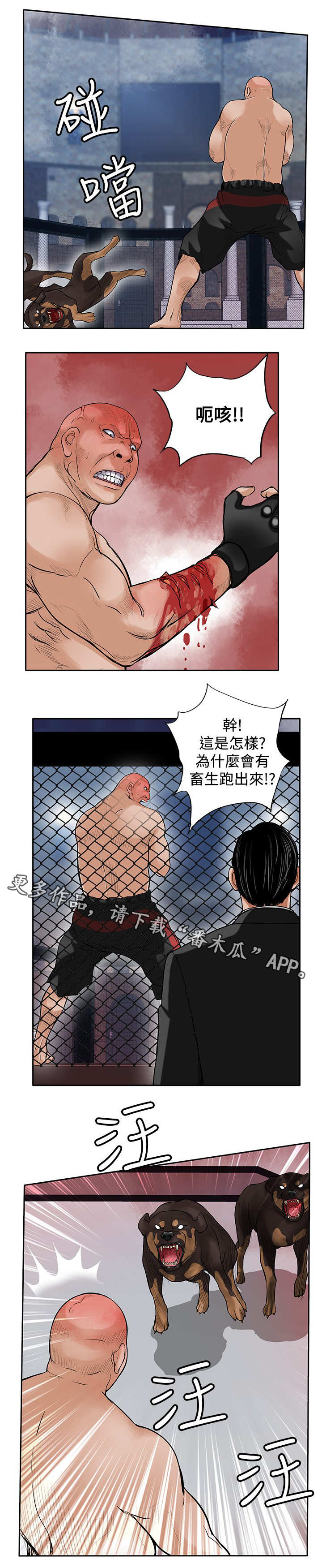 第41章：疯狗6