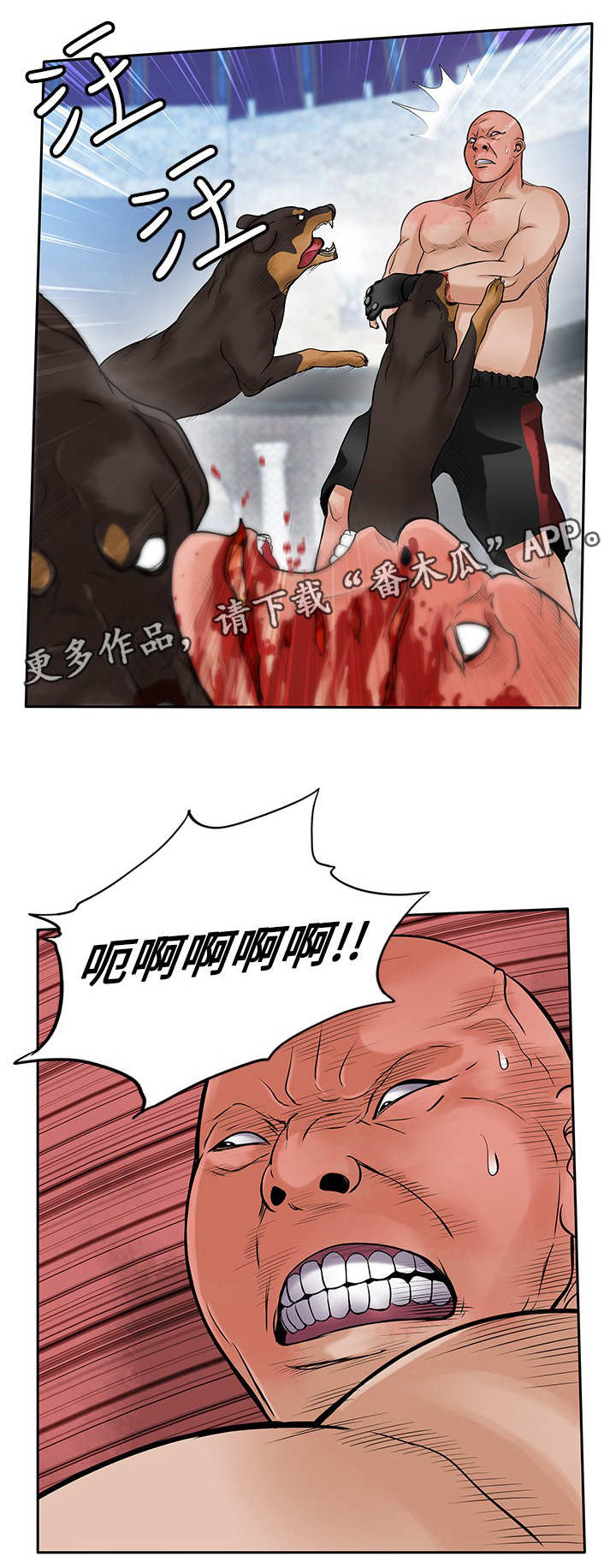 第41章：疯狗4