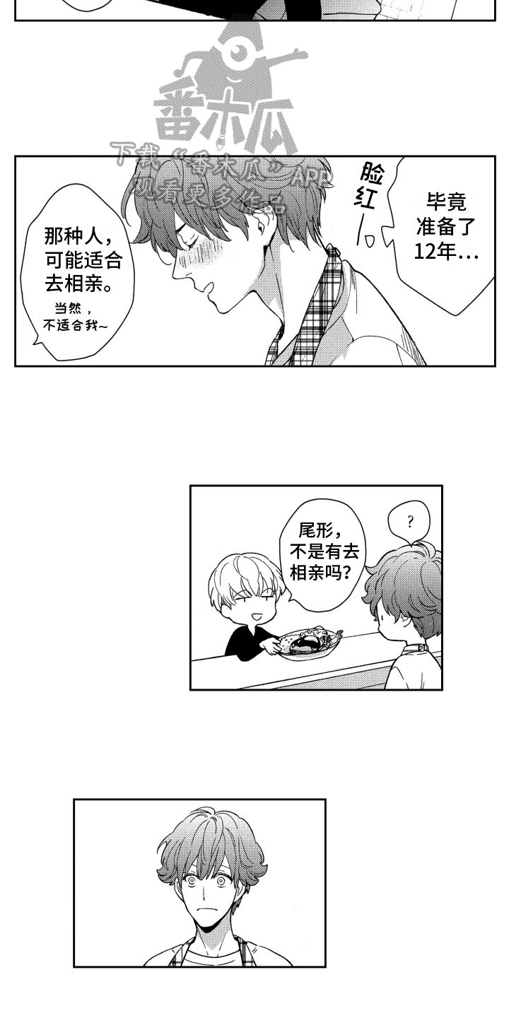 第11章：想法8