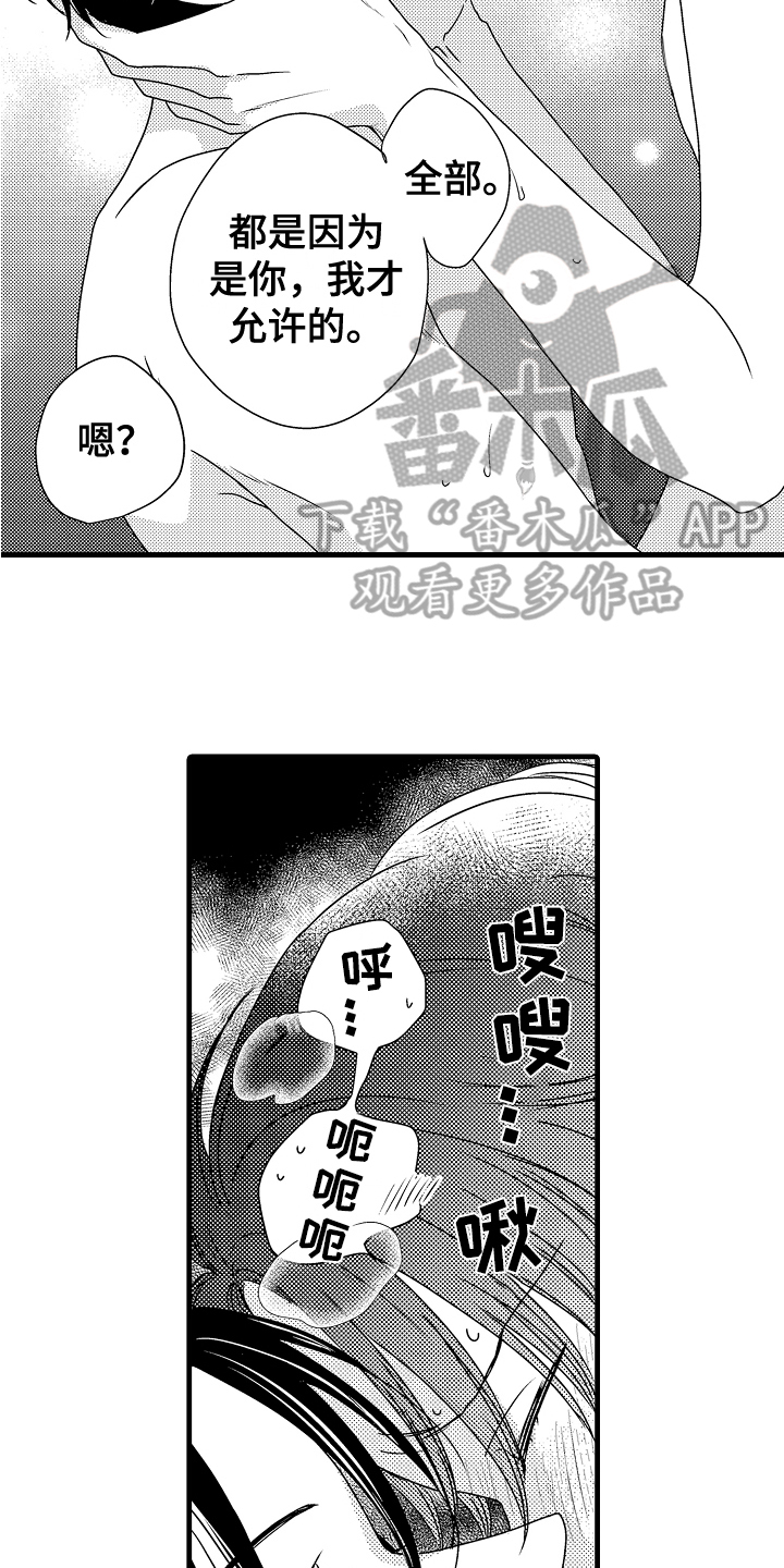 第18章：解释11