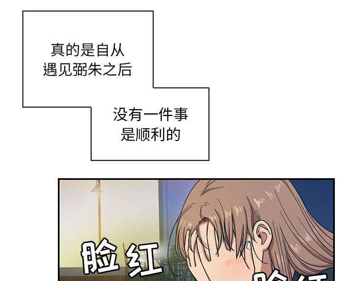 第31章：因为他0