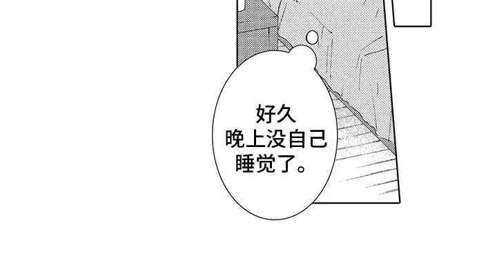 第20章：恶意使用19