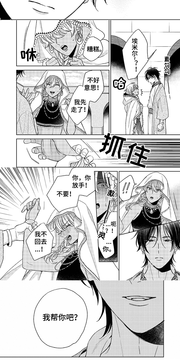 第1章：逃婚5
