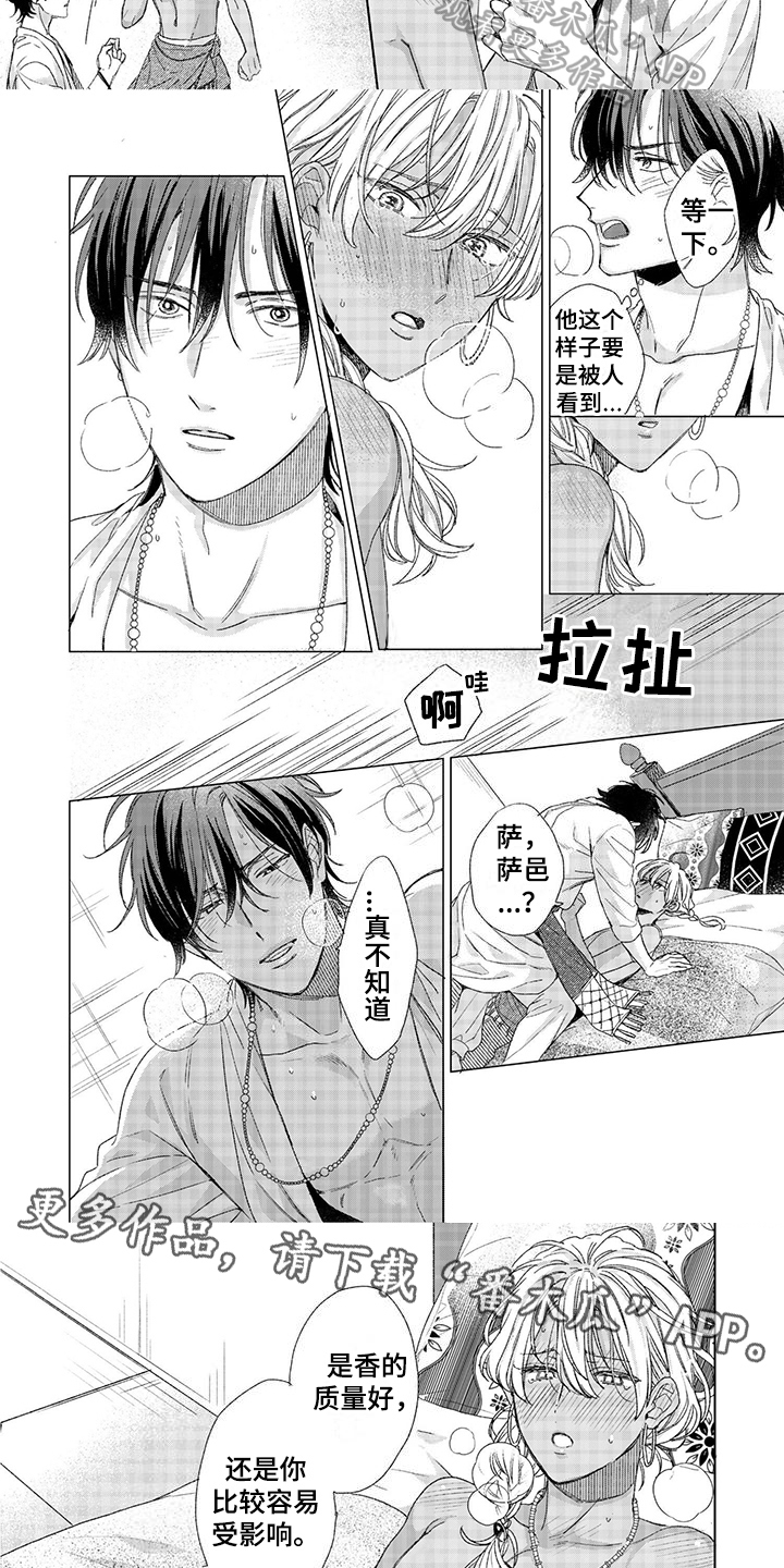 第13章：影响5