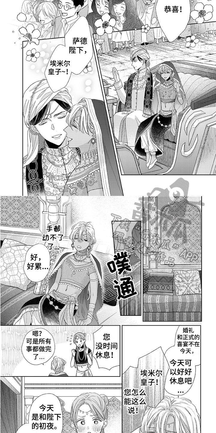 第24章：求婚5