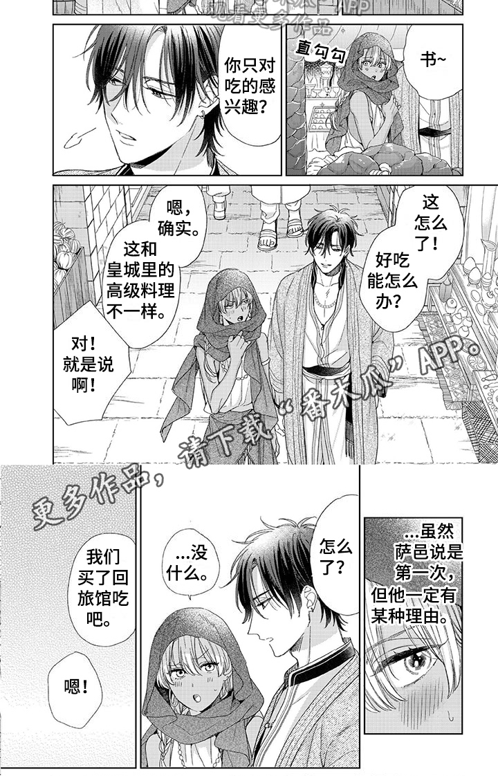 第17章：命令5