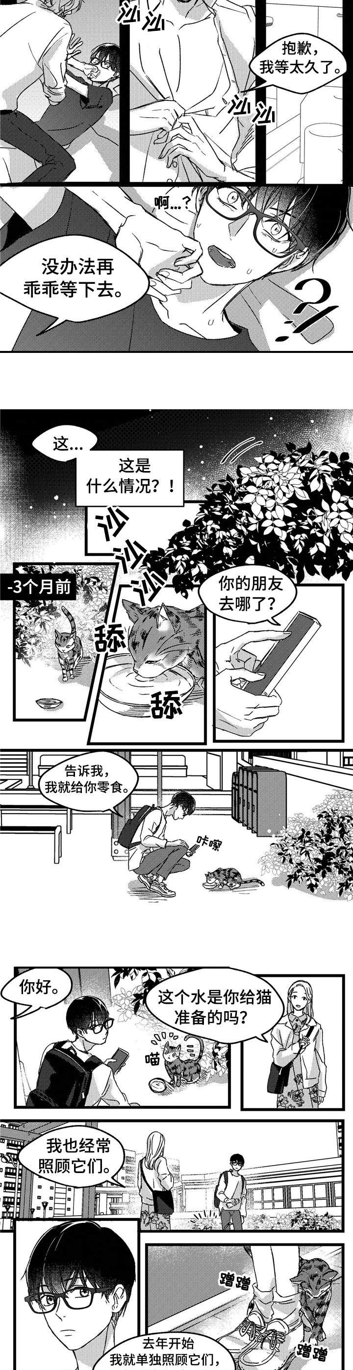 第1章：小动物7