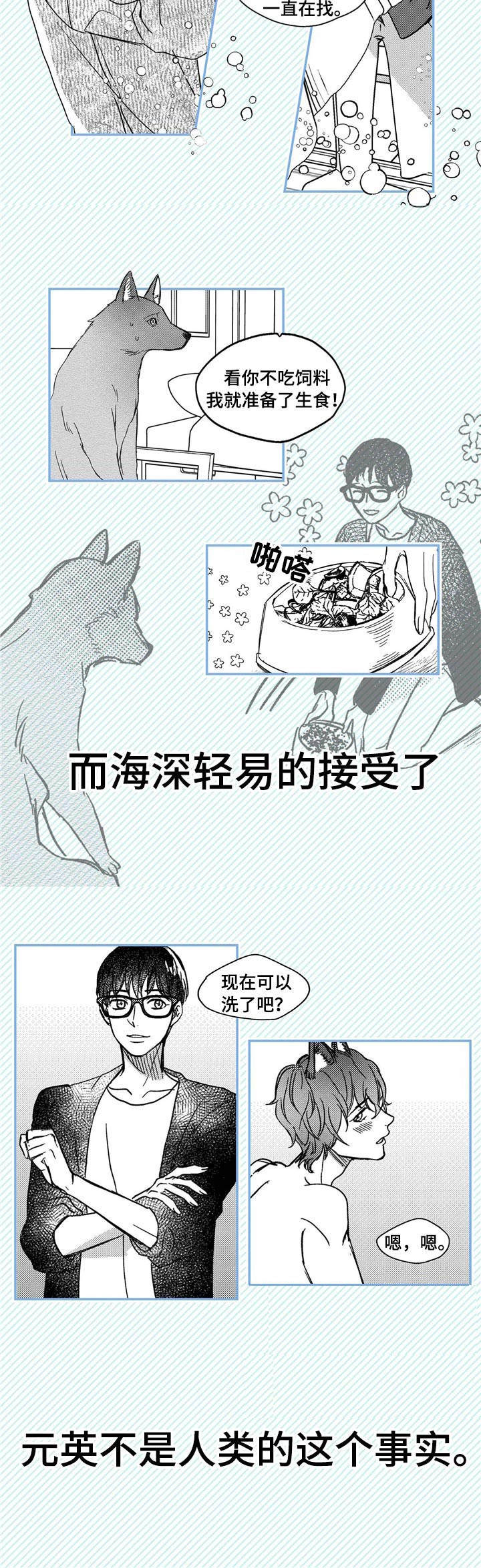 第1章：小动物3