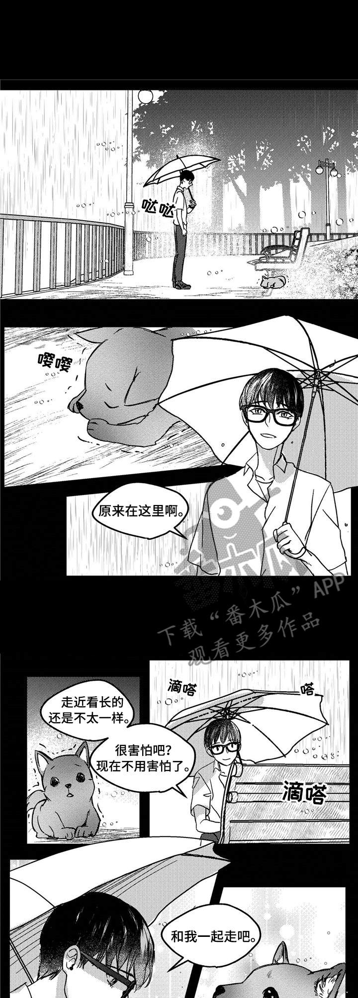 第9章：流浪狗5