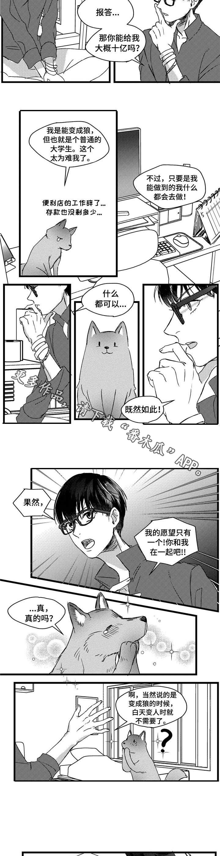 第4章：狼人6