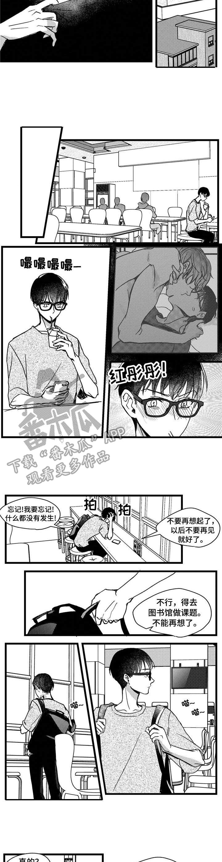 第7章：小猫5