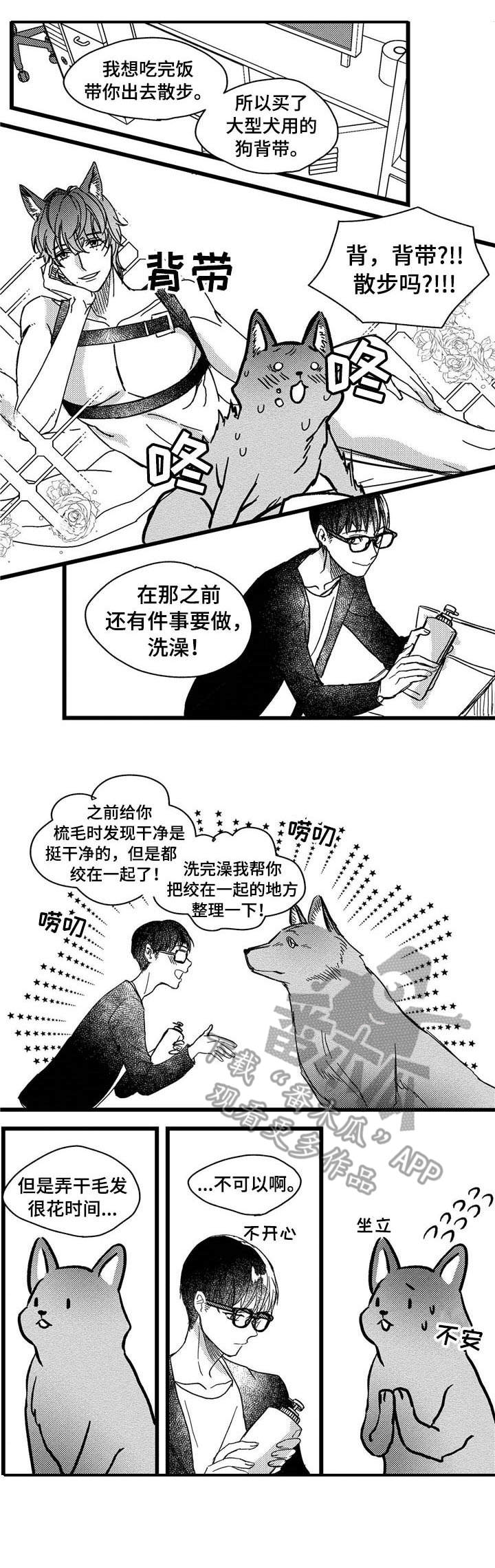 第5章：洗一洗4