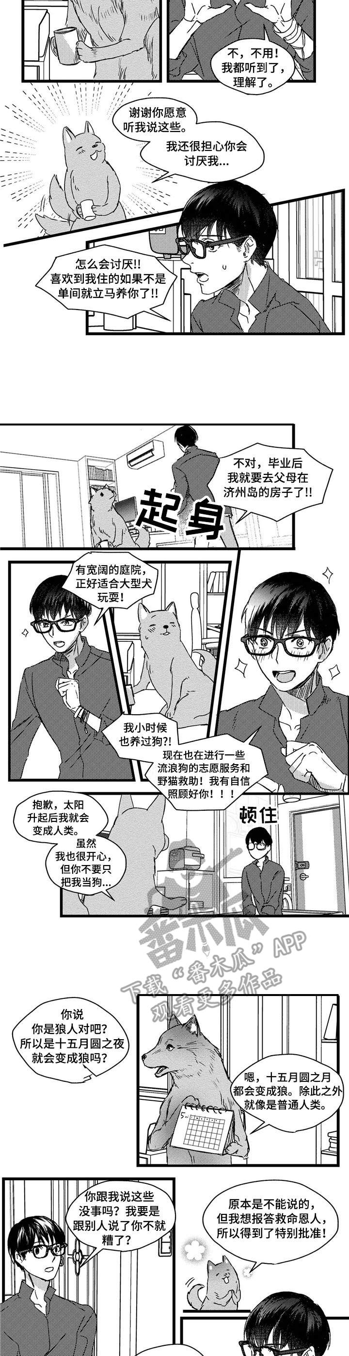 第4章：狼人5
