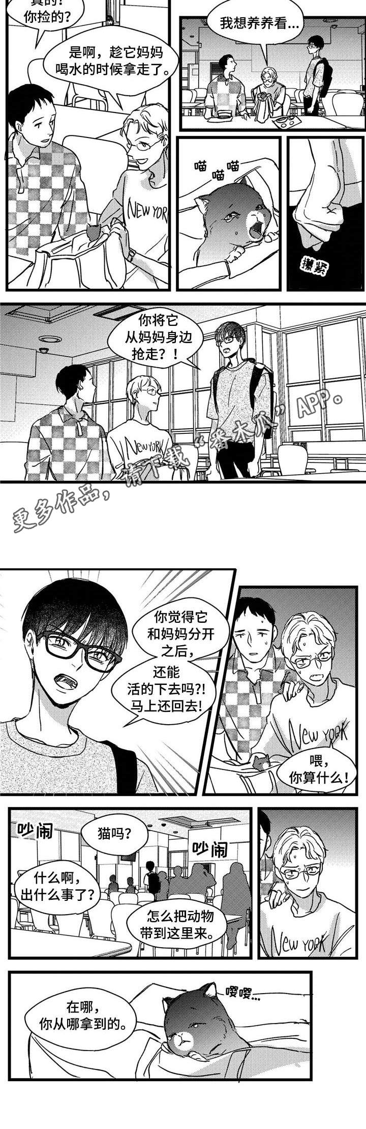 第7章：小猫6