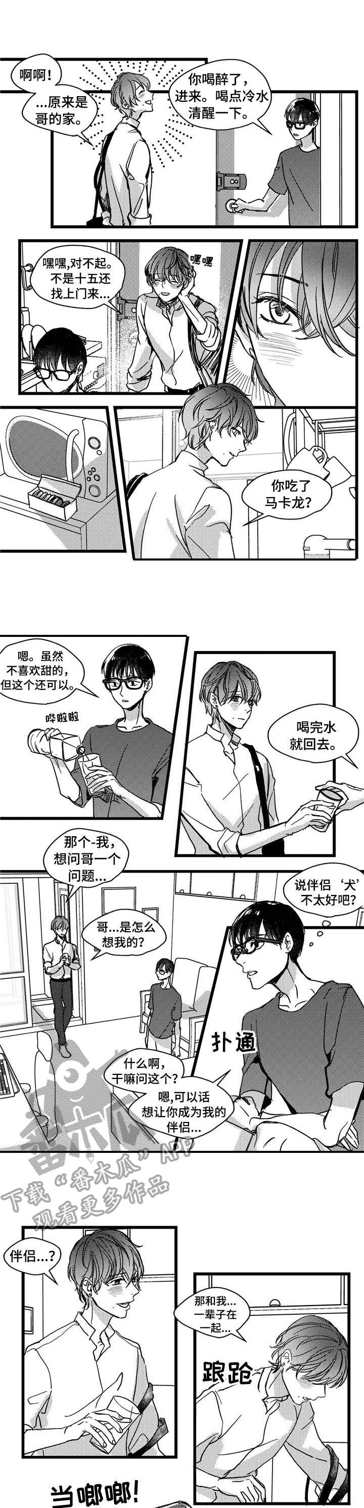 第7章：小猫0