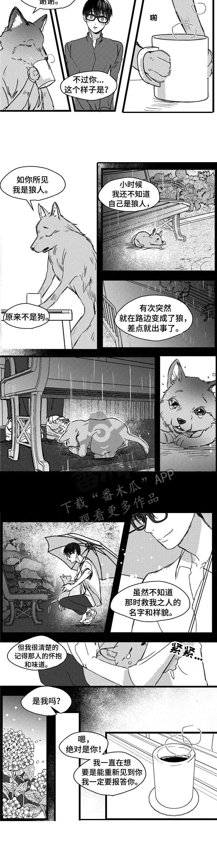 第4章：狼人2