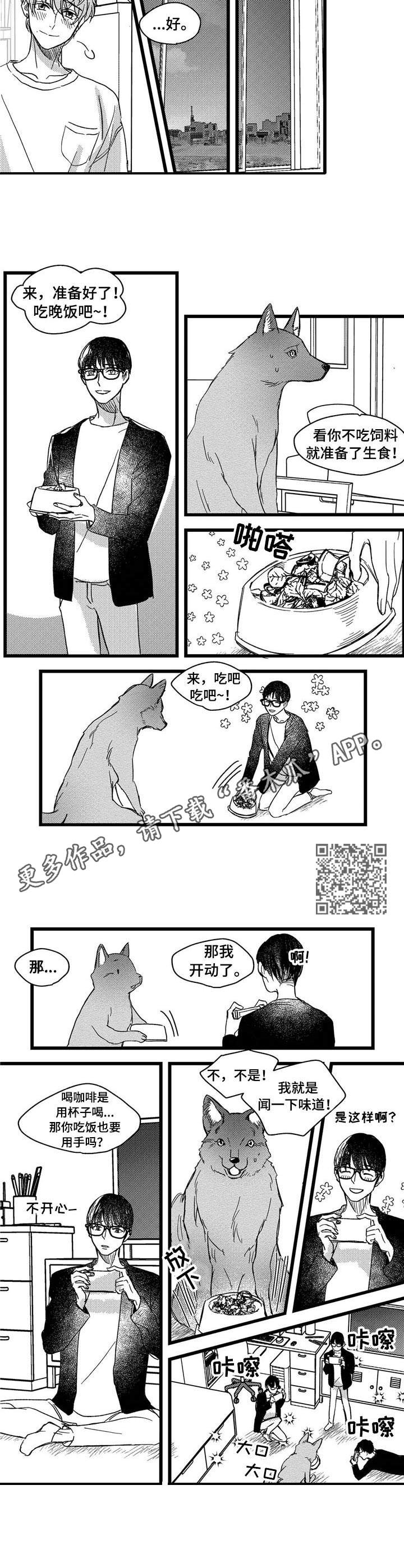 第5章：洗一洗3