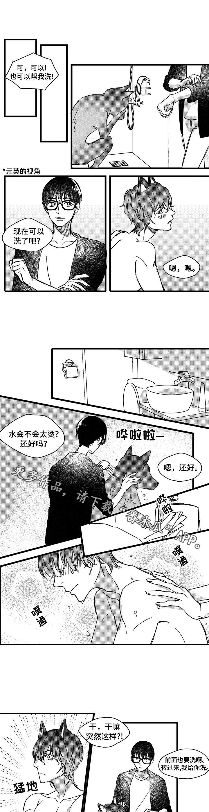 第5章：洗一洗5