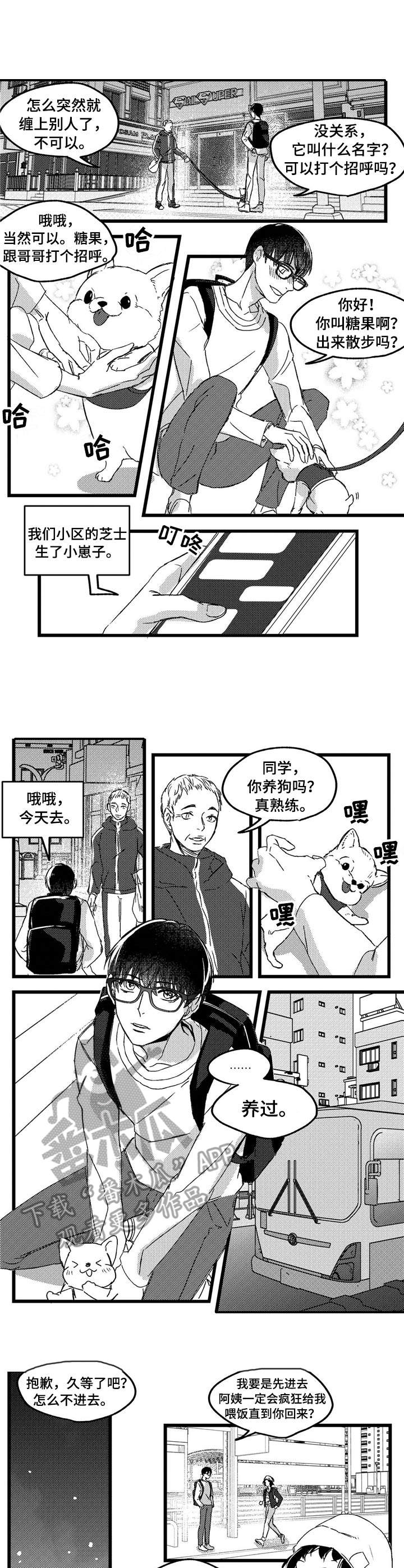 第2章：举止怪异1